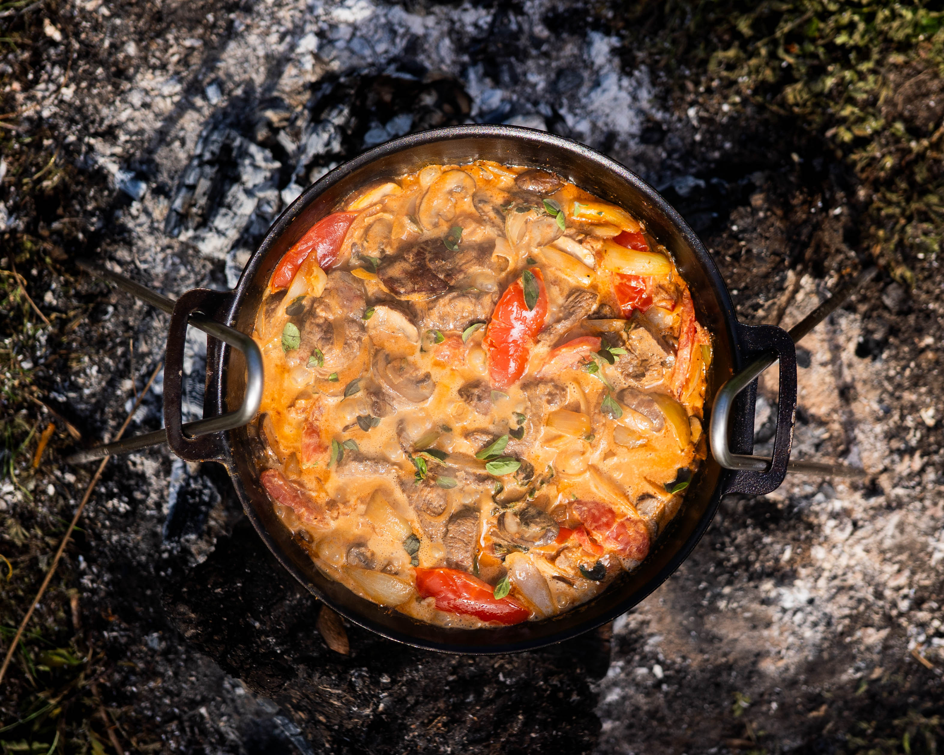 Sauté Stroganoff with Game
